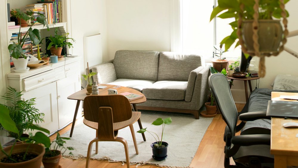 Sala de estar com diversas plantas distribuídas em prateleiras, mesa e chão