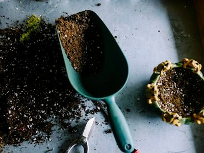 Substrato e pá de jardinagem