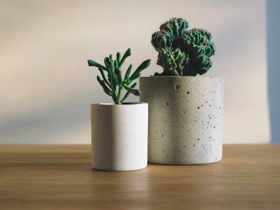 Vasos de concreto sobre mesa de madeira